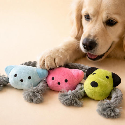 Hundespielzeug mit Seil & Plüsch – robustes Kauspielzeug für Hunde (verschiedene Designs)