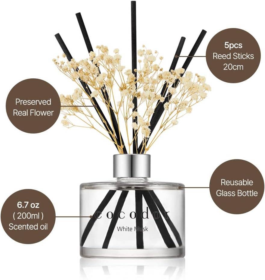 Cocodor Blumendiffusor 200ml (6.7oz) - Zitrone Eukalyptus