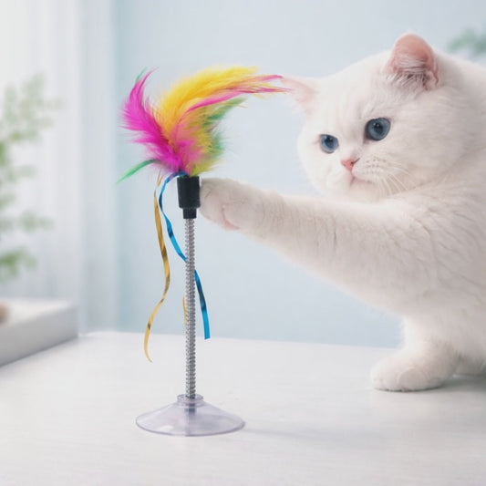 Katzenspielzeug mit Saugnapf – Federstab oder Spielball – interaktives Katzen Spielzeug